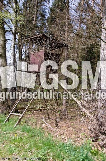 Hochstände (71 von 154).jpg